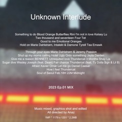 Unknown Interlude