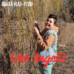 Brăilă Vlad-Petru - Like Angels