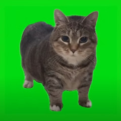 KoKoStyle - Cats Love Newstyle (Previa)