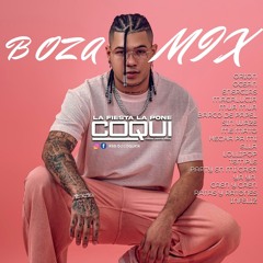 BOZA MIX