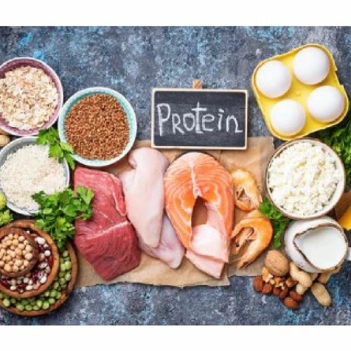 Protein 101 Stream Protein 101: A Comprehensive Guide by Nutritionzone | Listen ...