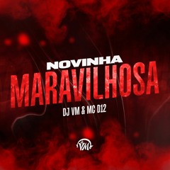 NOVINHA MARAVILHOSA - DJ VM & MC D12