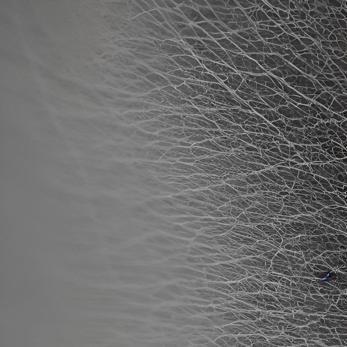 Distant Touch