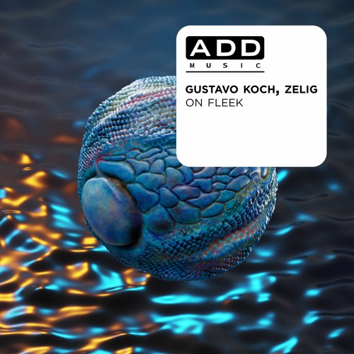 Gustavo Koch & Zelig - On Fleek (Extended Mix)