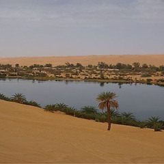 Ozones Oasises - 7_17_25, 11.41 PM