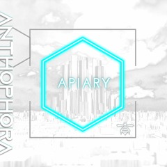 Anthophora - Apiary