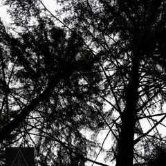 [Résidence Trêve] La Messe - Seby Sebos (19.06.22)