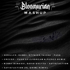 🫷PUSH ME UP🫸  (Bloomurian Mashup) 🤝 Push (Skrillex, Hamdi) x Push Up (LSDREAM) x Satisfaction