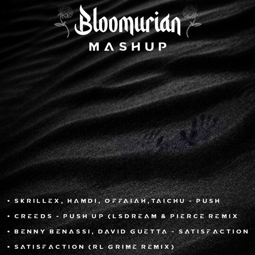 🫷PUSH ME UP🫸  (Bloomurian Mashup) 🤝 Push (Skrillex, Hamdi) x Push Up (LSDREAM) x Satisfaction