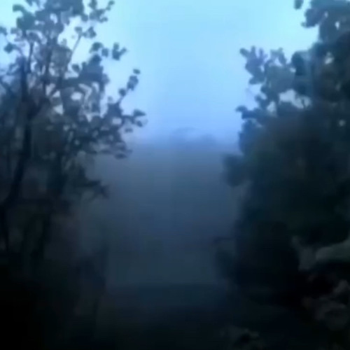 1oneam - starting 5 prod.tdf *snippet