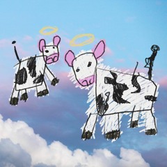 holy cow