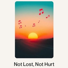 Not Lost, Not Hurt.wav