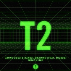 Amine Edge & DANCE, Maxinne (feat. Mizbee) - What U Say (Extended Mix)