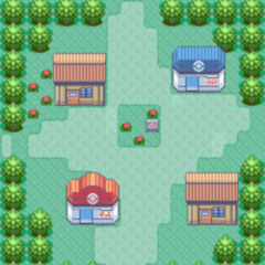 their own footprints