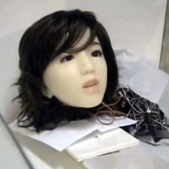 i tried my best for this cover