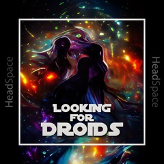 HeadSpace by Looking for Droids