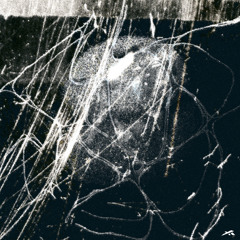PREMIERE || Xiwire - Chicle || [Fragment A]