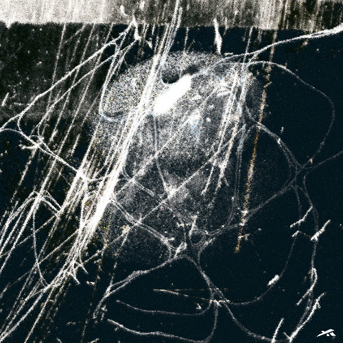 PREMIERE || Xiwire - Chicle || [Fragment A]