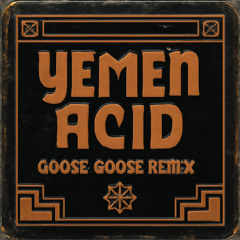 Unknown Artist - Yemen Acid (Goose.Goose Remix)
