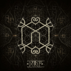 Heilung - Asja (MELODICS Remix)