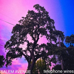 telephone wires