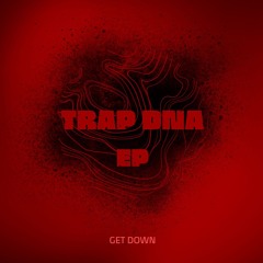 GET DOWN | TRAP DNA | [PRINCE]