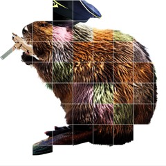 CASTOR (ARCHIVE) ft. TRAK