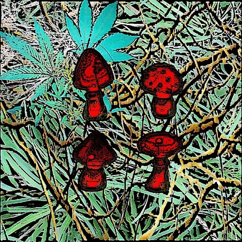 Speeding on the way to Luci's house (w/PAPASPYRO)  [Prod.STRAY)