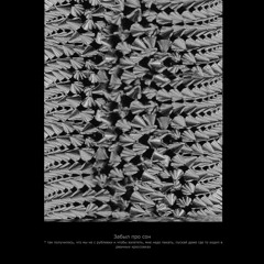 TINYAK - Забыл Про Сон