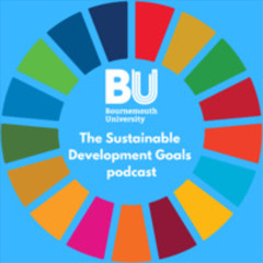 SDG 2 Zero Hunger - Sustainable Development Goals podcast