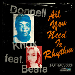 Donnell Knox feat. Beata - All You Need Iz Rhythm