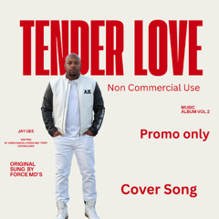 Tender  Love Cover