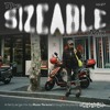 The Sizeable Mix Vol. 27: Roza Terenzi DJ mix artwork - Electronic music tracklist cover image