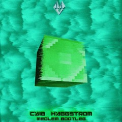 C418 - Haggstrom(Medlem Bootleg)