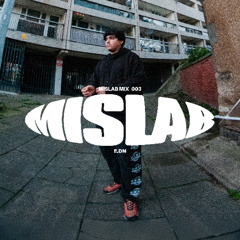MISLAB MIX 003 | E.DN
