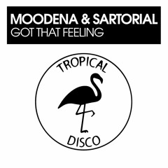 Moodena & Sartorial - Got That Feeling