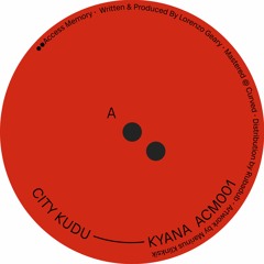 PREMIERE: City Kudu - Airful Hands [Access Memory]