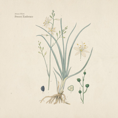 In Arms (Till Sleep)