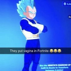 ZN DEIXA EU BOTAR NA PELE