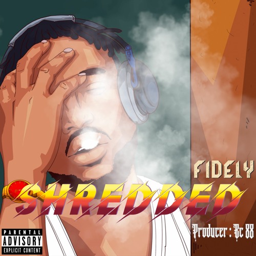 Fidely - Shredded