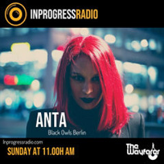 THE WAYFARER PODCAST - GUEST MIX #29 ANTA (BLACK OWLS BERLIN) AT IN PROGRESS RADIO