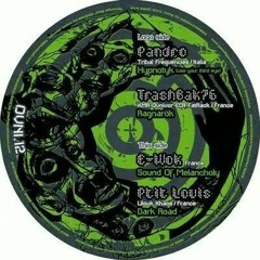 PANDRO - Hypnotyk - use your third eye (OVNIVOR 12) - no master