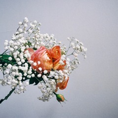 Flowers (Jye X Bradley Stone)