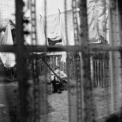 Jenny Wren - Paul McCartney cover