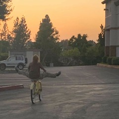 Fly