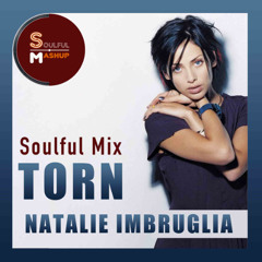 Natalie Imbruglia - Torn (Soulful Mashup)