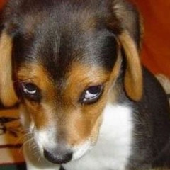 It Never Turns Out That Way