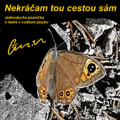 Nekráčam tou cestou sám