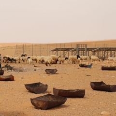 Bedouins, Asalah, Sinai Peninsula, Egypt