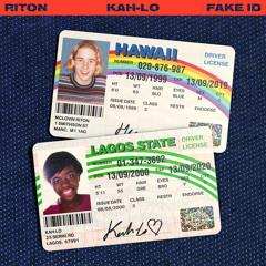 Riton and Kah-Lo - Fake ID